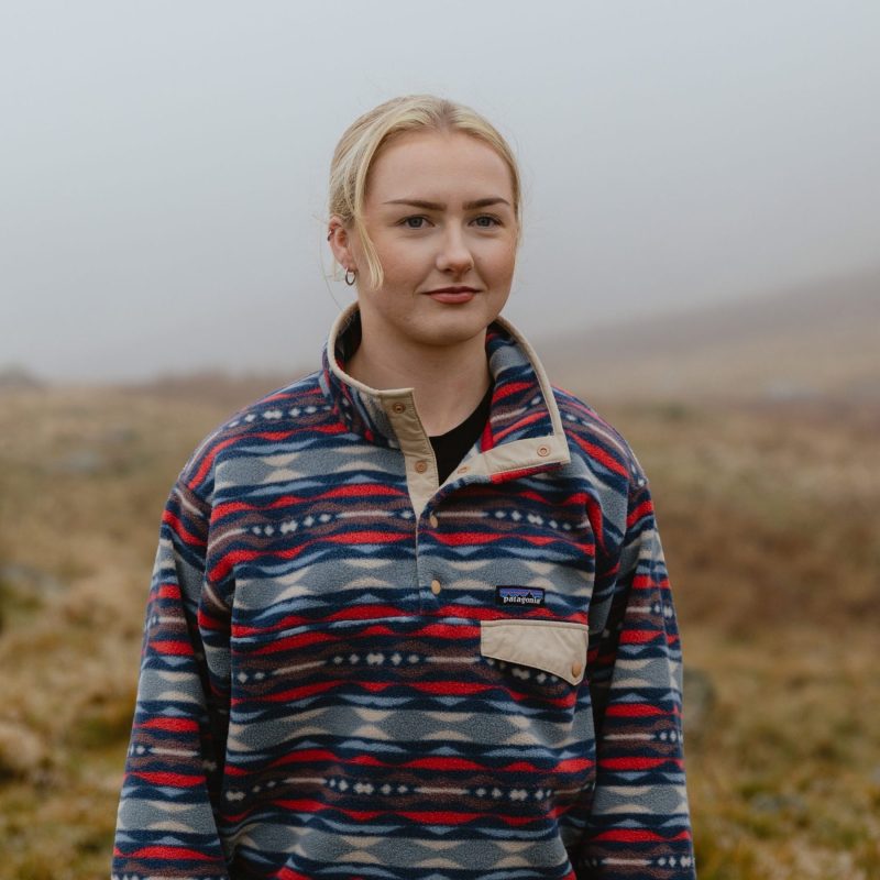 Patagonia Snap-T Synchilla Fleece (Northern Winter)