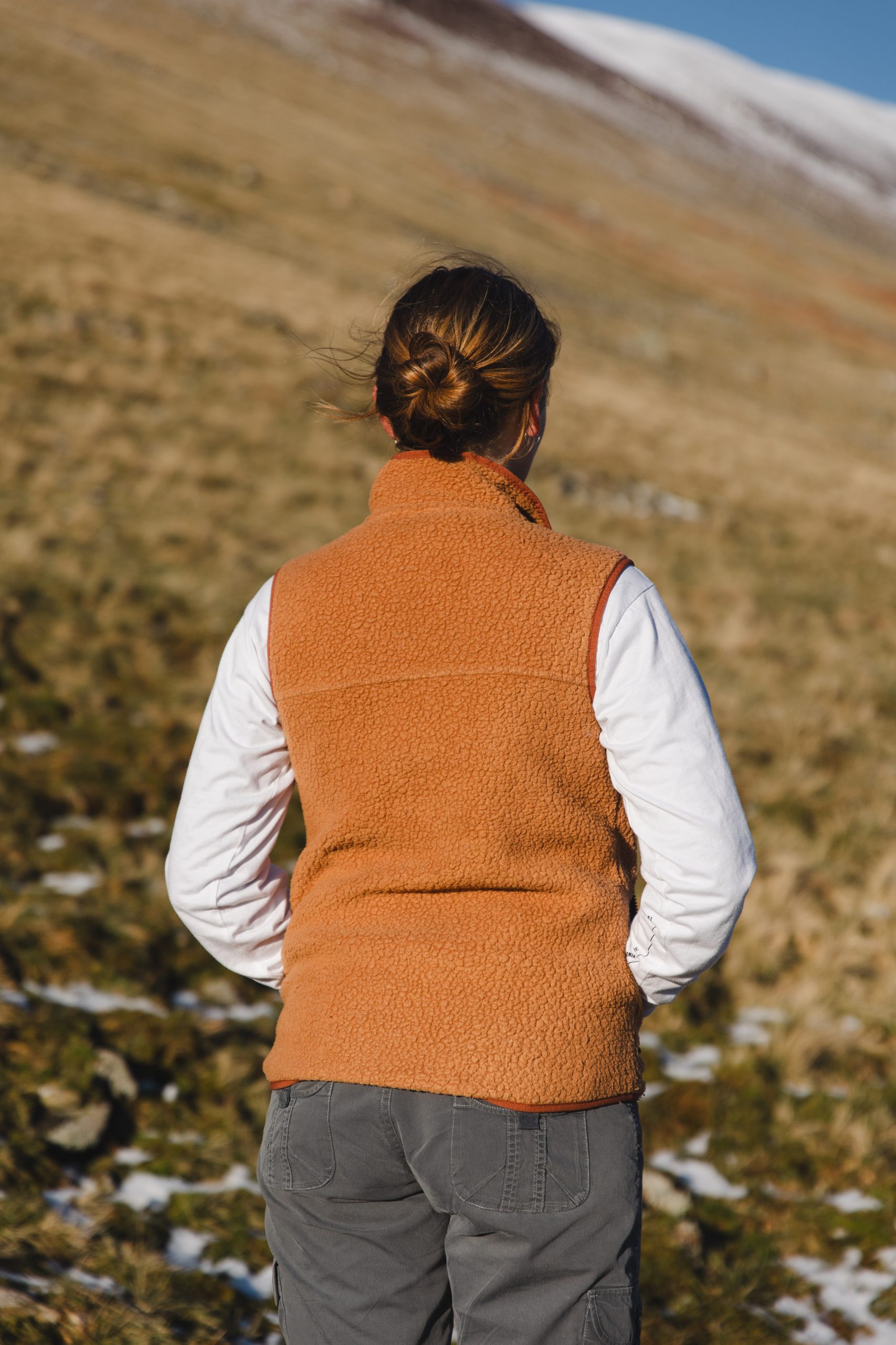 Patagonia Retro Pile Fleece Vest (Deerskin Tan) - Image 3