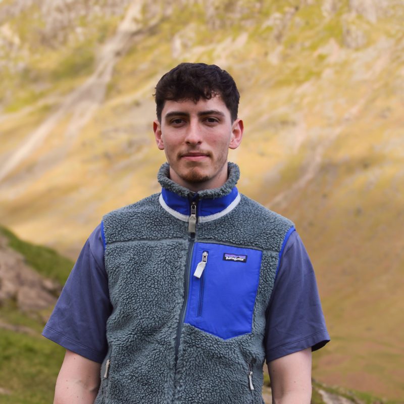 Patagonia Retro-X Fleece Vest (Lake District Blue)